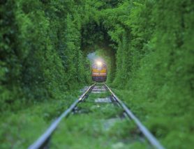 Train running in Natural tunnel.