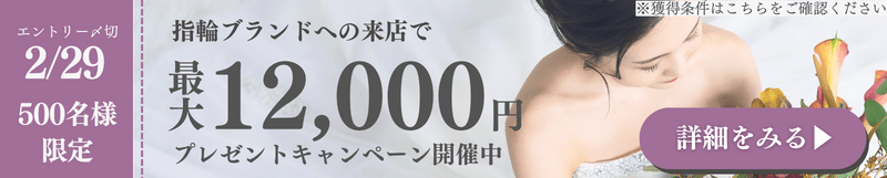 最大12000円プレゼントキャンペーン
