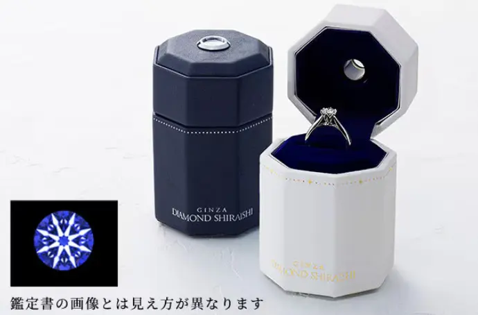 シライシ特典スコープ