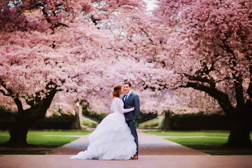 The-Cherry-Blossom-Wedding-Theme